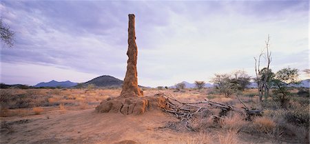 Termite Mound Kenya Photographie de stock - Rights-Managed, Code: 873-06440352