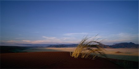 Grass Tuft on Sand Dune Naukluft Park, Namibia, Africa Stock Photo - Rights-Managed, Code: 873-06440466