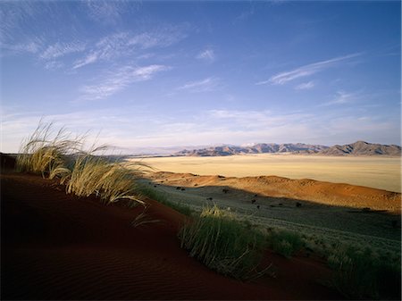 Grass Tuft on Sand Dune Naukluft Park, Namibia, Africa Stock Photo - Rights-Managed, Code: 873-06440467