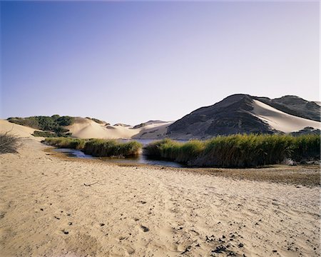 dune de sable - Oasis en Skeleton Coast Park Namibie, Afrique Photographie de stock - Rights-Managed, Code: 873-06440462