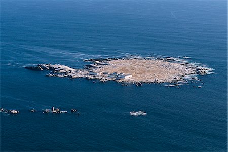 south african landscapes - Aerial View of Dassen Island Near Cape Agulhas, Western Cape South Africa Stock Photo - Rights-Managed, Code: 873-06440540