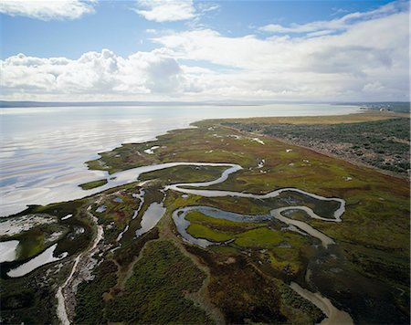 simsearch:873-06440613,k - Tidal Swamp Langebaan Coastline Western Cape, South Africa Stock Photo - Rights-Managed, Code: 873-06440636