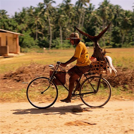 simsearch:841-03675676,k - Man on Bike Tanzania Foto de stock - Con derechos protegidos, Código: 873-06440690