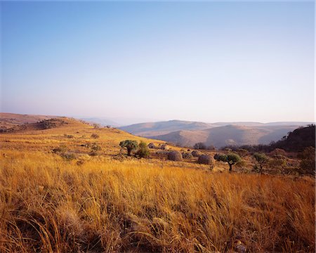 Zulu Huts on Film Set KwaZulu Natal, Zululand Foto de stock - Con derechos protegidos, Código: 873-06440847