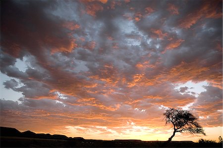 simsearch:873-06440226,k - Sonnenuntergang, Nördliches Kap, Südafrika Stockbilder - Lizenzpflichtiges, Bildnummer: 873-06440896