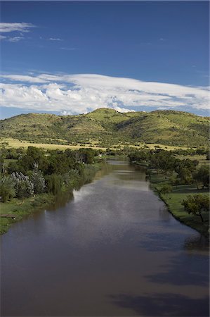 simsearch:873-06441035,k - Crocodile River, Magaliesberg, North West Province, South Africa Foto de stock - Con derechos protegidos, Código: 873-06441058