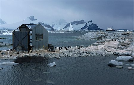 simsearch:873-06440675,k - Ancien baleinier Station, île de Géorgie du Sud, Antarctique Photographie de stock - Rights-Managed, Code: 873-06441184