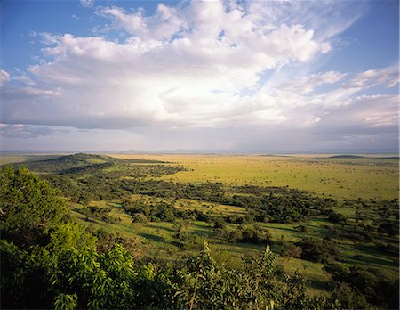 Landscape in the Serengeti, Tanzania Stock Photo - Rights-Managed, Code: 873-06441233