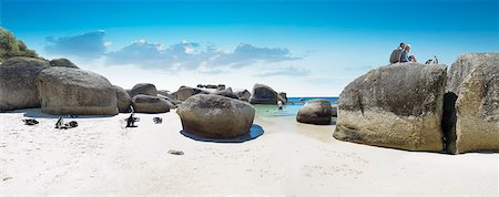 piedra grande - Penguins at Boulders Beach, Western Cape Foto de stock - Con derechos protegidos, Código: 873-06675575