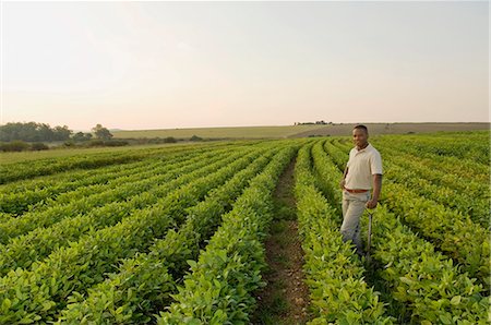 simsearch:873-07156906,k - Man standing in vegetable field, smiling Foto de stock - Con derechos protegidos, Código: 873-07156682