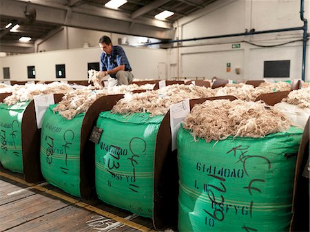 port elizabeth south africa - Quality inspection of bales, Mohair Brokers Stock Photo - Rights-Managed, Code: 873-07156786