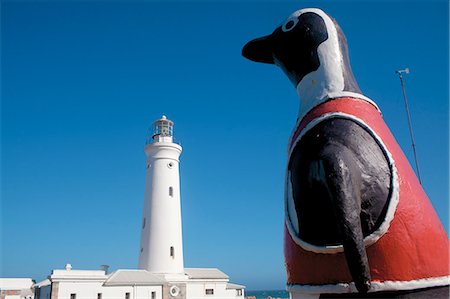 Seal Point lighthouse and penguin Foto de stock - Direito Controlado, Número: 873-07156796