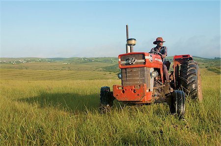 eastern cape - Man on tractor Stock Photo - Rights-Managed, Code: 873-07156827