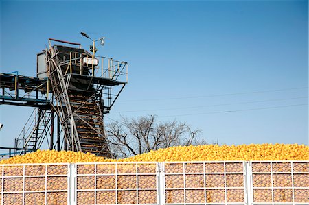 Orange Conveyor, Letaba, Limpopo Stock Photo - Rights-Managed, Code: 873-07156974
