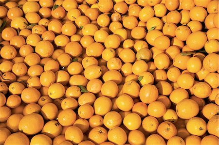 Oranges, Limpopo, Letaba, Limpopo Stock Photo - Rights-Managed, Code: 873-07156977