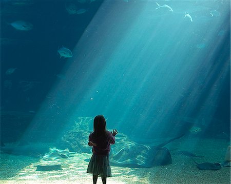 durban - Child looking at fish, Aquarium, uShaka Marine World theme park, Durban, Natal Stock Photo - Rights-Managed, Code: 873-07157176