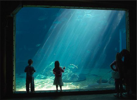 durban - Children looking at fish, Aquarium, uShaka Marine World theme park, Durban, Natal Stock Photo - Rights-Managed, Code: 873-07157177