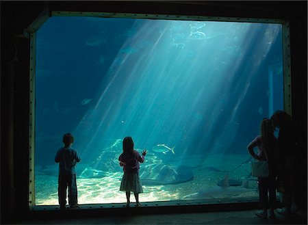 durban - Children looking at fish, Aquarium, uShaka Marine World theme park, Durban, Natal Fotografie stock - Rights-Managed, Codice: 873-07157177