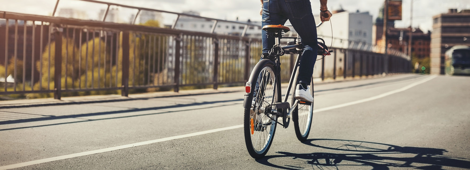 International World Bicycle Day